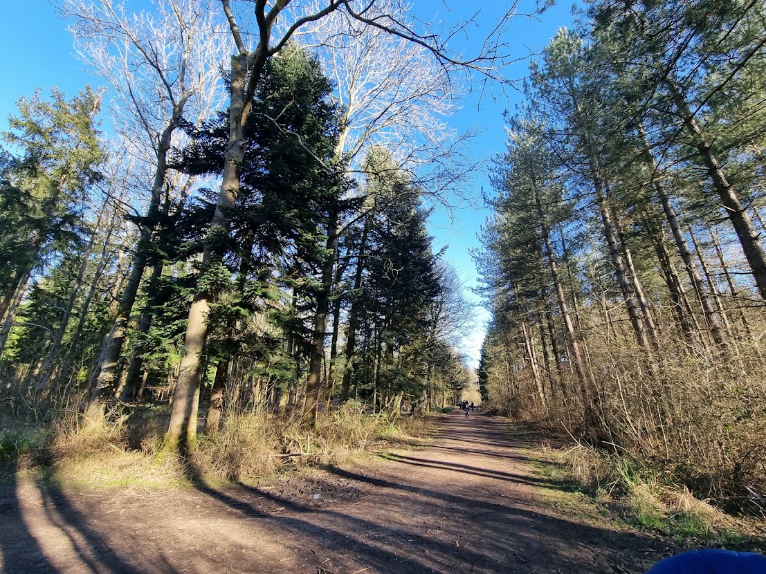 superworm-trail-at-salcey-forest-keyne-to-explore